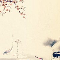 Cours de qigong bien-être