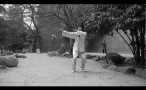 Institut Franco/chinois Taiji Quan Chen Institut Franco/chinois Taiji Quan Chen