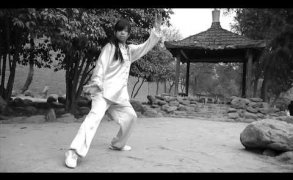 Intitut Franco-Chinoise de Taiji Quan Chen à Argeles sur mer France Intitut Franco-Chinoise de Taiji Quan Chen à Argeles sur mer France